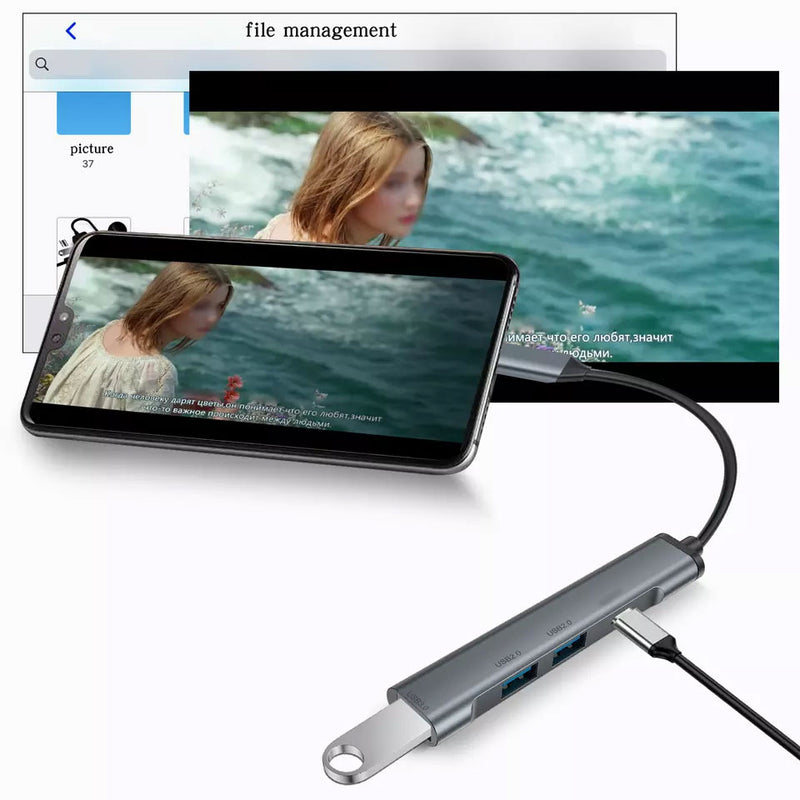 4-in-1 Adapter USB Hub , USB Drive USB Splitter Lightning Charger port - ACY51